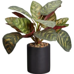 Kunstplant Calathea^ Kunstplanten & Kunstbloemen