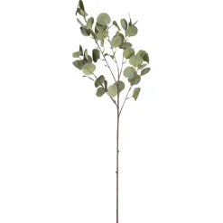 Kunsttak Eucalyptus^ Kunstplanten & Kunstbloemen