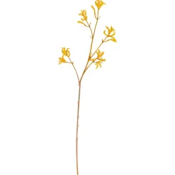 Kunsttak Kangoeroe Pootje^ Kunstplanten & Kunstbloemen