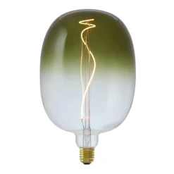 LED lamp 17x27 cm E27 Dimbaar^ Lichtbronnen