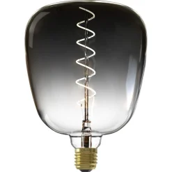 Calex Led Xxl Globe 20x28cm^ Lichtbronnen